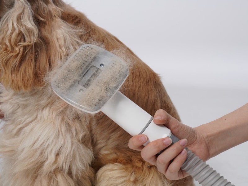 Mobile dog grooming